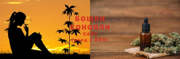 спайс Михайлов