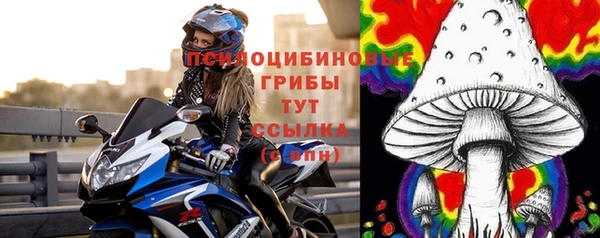 a pvp Елабуга