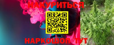 ПСИЛОЦИБИНОВЫЕ ГРИБЫ Бийск