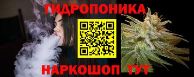 гидра Заводоуковск