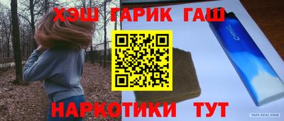 гидра Заводоуковск