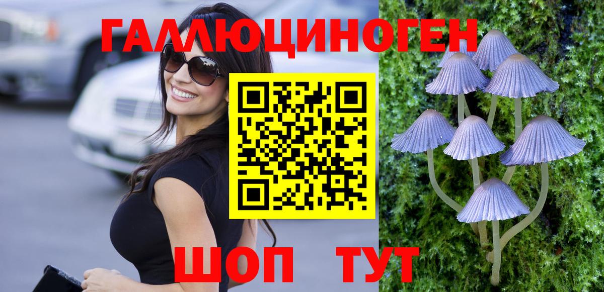 Галлюциногенные грибы Psilocybe Чебоксары