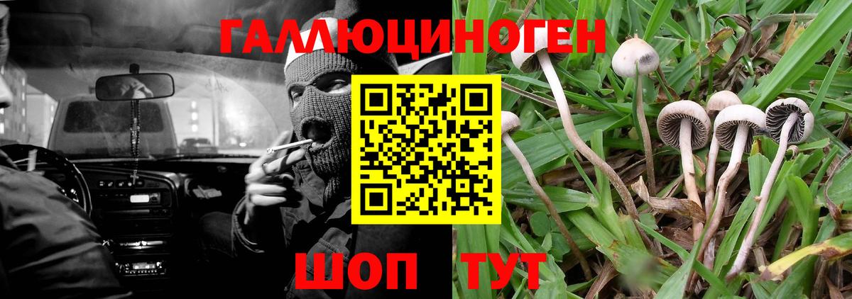 Псилоцибиновые грибы Cubensis  Галлюциногенные грибы прущие грибы  купить   Вход с VPN  Чебоксары 