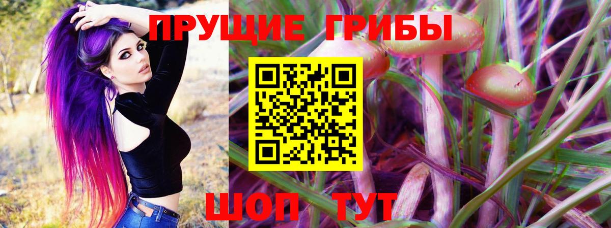 Галлюциногенные грибы MAGIC MUSHROOMS  Псилоцибиновые грибы GOLDEN TEACHER  Чебоксары 